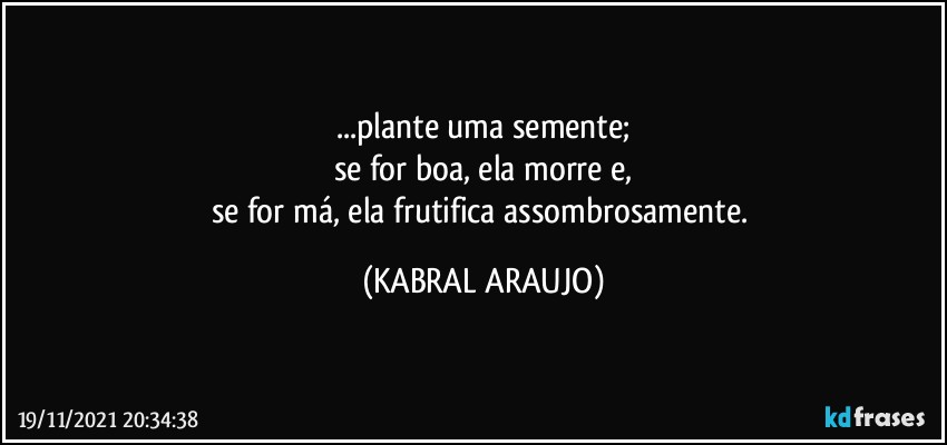 ...plante uma semente;
se for boa, ela morre e,
se for má, ela frutifica assombrosamente. (KABRAL ARAUJO)