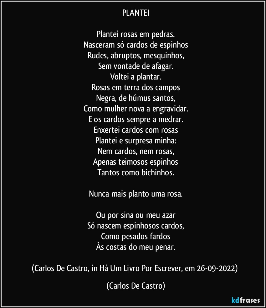 PLANTEI

Plantei rosas em pedras.
Nasceram só cardos de espinhos
Rudes, abruptos, mesquinhos,
Sem vontade de afagar.
Voltei a plantar.
Rosas em terra dos campos
Negra, de húmus santos,
Como mulher nova a engravidar.
E os cardos sempre a medrar.
Enxertei cardos com rosas
Plantei e surpresa minha:
Nem cardos, nem rosas,
Apenas teimosos espinhos
Tantos como bichinhos.

Nunca mais planto uma rosa.

Ou por sina ou meu azar
Só nascem espinhosos cardos,
Como pesados fardos
Às costas do meu penar.

(Carlos De Castro, in Há Um Livro Por Escrever, em 26-09-2022) (Carlos De Castro)