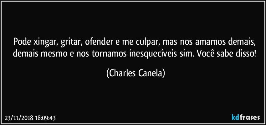 Pode xingar, gritar, ofender e me culpar, mas nos amamos demais, demais mesmo e nos tornamos inesquecíveis sim. Você sabe disso! (Charles Canela)