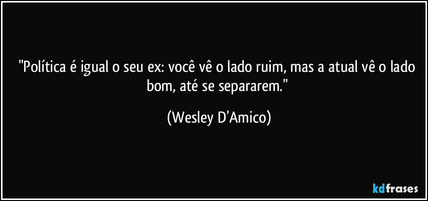 "Política é igual o seu ex: você vê o lado ruim, mas a atual vê o lado bom, até se separarem." (Wesley D'Amico)