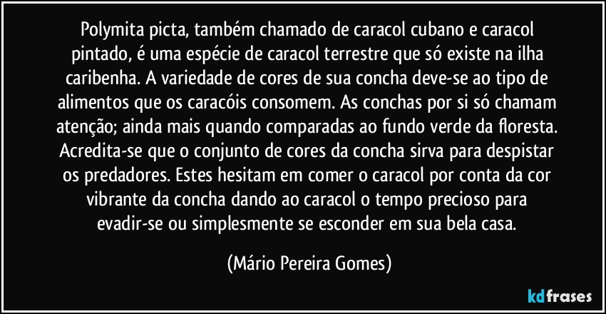 Polymita picta, também chamado de caracol cubano e caracol pintado, é uma espécie de caracol terrestre que só existe na ilha caribenha. A variedade de cores de sua concha deve-se ao tipo de alimentos que os caracóis consomem. As conchas por si só chamam atenção; ainda mais quando comparadas ao fundo verde da floresta. Acredita-se que o conjunto de cores da concha sirva para despistar os predadores. Estes hesitam em comer o caracol por conta da cor vibrante da concha dando ao caracol o tempo precioso para evadir-se ou simplesmente se esconder em sua bela casa. (Mário Pereira Gomes)