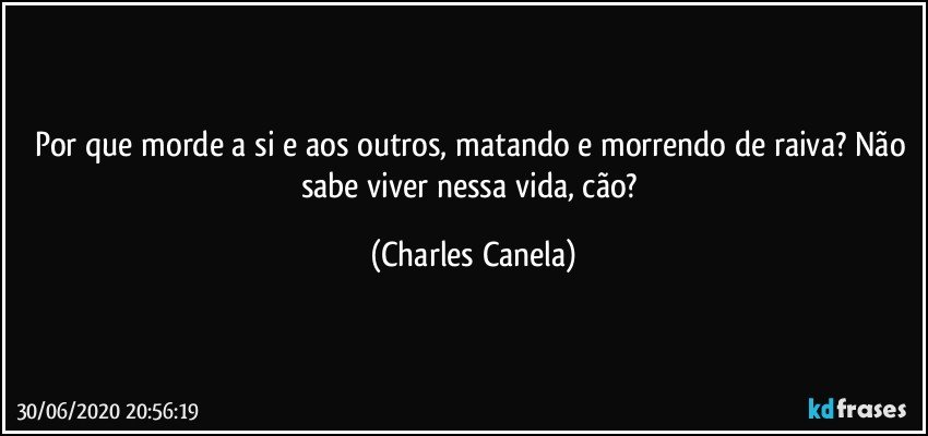 Por que morde a si e aos outros, matando e morrendo de raiva? Não sabe viver nessa vida, cão? (Charles Canela)