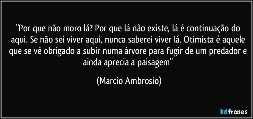 "Por que não moro lá? Por que lá não existe, lá é continuação do aqui. Se não sei viver aqui, nunca saberei viver lá. Otimista é aquele que se vê obrigado a subir numa árvore para fugir de um predador e ainda aprecia a paisagem" (Marcio Ambrosio)