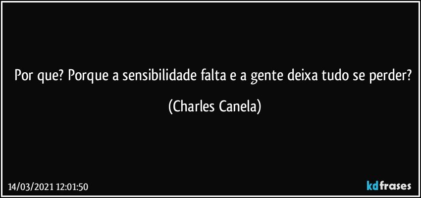 Por que? Porque a sensibilidade falta e a gente deixa tudo se perder? (Charles Canela)