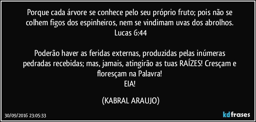 Porque cada árvore se conhece pelo seu próprio fruto; pois não se colhem figos dos espinheiros, nem se vindimam uvas dos abrolhos. Lucas 6:44

Poderão haver as feridas externas, produzidas pelas inúmeras pedradas recebidas; mas, jamais, atingirão as tuas RAÍZES! Cresçam e floresçam na Palavra! 
EIA! (KABRAL ARAUJO)