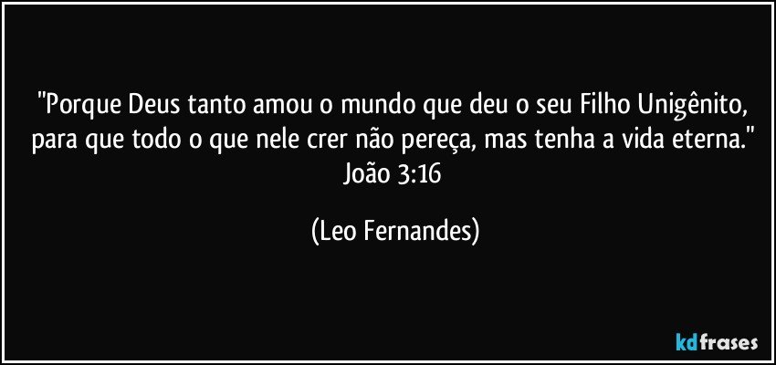 "Porque Deus tanto amou o mundo que deu o seu Filho Unigênito, para que todo o que nele crer não pereça, mas tenha a vida eterna." 
João 3:16 (Leo Fernandes)
