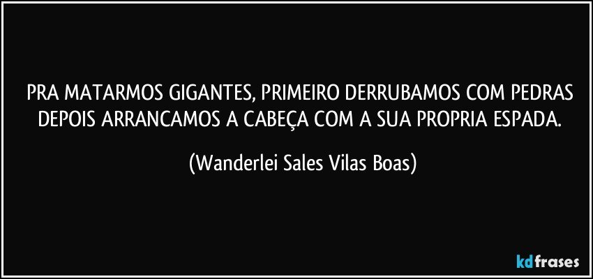 PRA MATARMOS GIGANTES, PRIMEIRO DERRUBAMOS COM PEDRAS DEPOIS ARRANCAMOS A CABEÇA COM A SUA PROPRIA ESPADA. (Wanderlei Sales Vilas Boas)