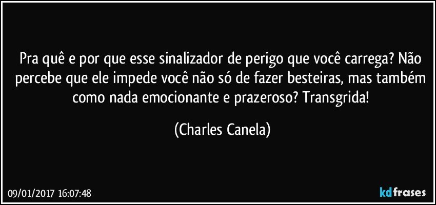 Pra quê e por que esse sinalizador de perigo que você carrega? Não percebe que ele impede você não só de fazer besteiras, mas também como nada emocionante e prazeroso?  Transgrida! (Charles Canela)