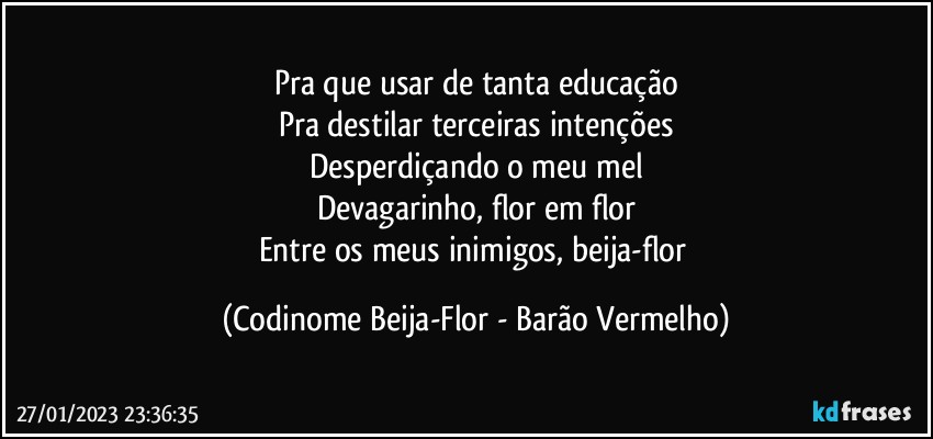 Pra que usar de tanta educação
Pra destilar terceiras intenções
Desperdiçando o meu mel
Devagarinho, flor em flor
Entre os meus inimigos, beija-flor (Codinome Beija-Flor - Barão Vermelho)