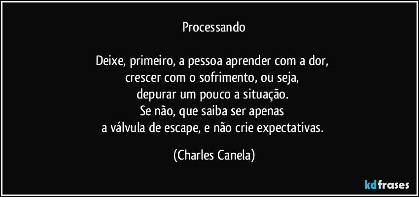 Processando

Deixe, primeiro, a pessoa aprender com a dor, 
crescer com o sofrimento, ou seja, 
depurar um pouco a situação. 
Se não, que saiba ser apenas 
a válvula de escape, e não crie expectativas. (Charles Canela)