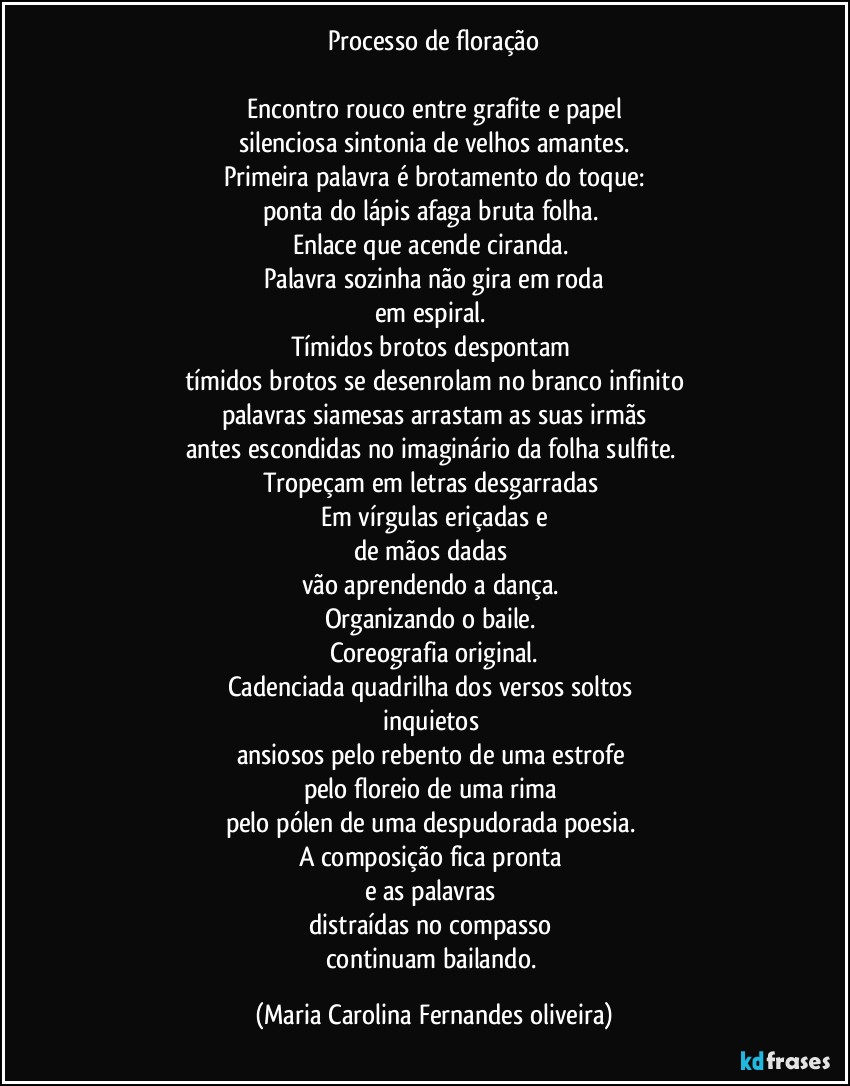 Processo de floração

Encontro rouco entre grafite e papel
silenciosa sintonia de velhos amantes.
Primeira palavra é brotamento do toque:
ponta do lápis afaga bruta folha. 
Enlace que acende ciranda. 
Palavra sozinha não gira em roda
em espiral. 
Tímidos brotos despontam 
tímidos brotos se desenrolam no branco infinito
palavras siamesas arrastam as suas irmãs
antes escondidas no imaginário da folha sulfite. 
Tropeçam em letras desgarradas 
Em vírgulas eriçadas e
de mãos dadas 
vão aprendendo a dança. 
Organizando o baile. 
Coreografia original.
Cadenciada quadrilha dos versos soltos 
inquietos 
ansiosos pelo rebento de uma estrofe 
pelo floreio de uma rima 
pelo pólen de uma despudorada poesia. 
A composição fica pronta 
e as palavras 
distraídas no compasso 
continuam bailando. (Maria Carolina Fernandes oliveira)