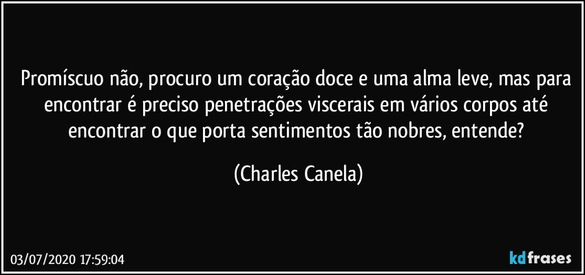 Promíscuo não, procuro um coração doce e uma alma leve, mas para encontrar é preciso penetrações viscerais em vários corpos até encontrar o que porta sentimentos tão nobres, entende? (Charles Canela)