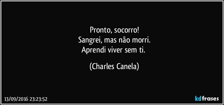 Pronto, socorro!
Sangrei, mas não morri.
Aprendi viver sem ti. (Charles Canela)