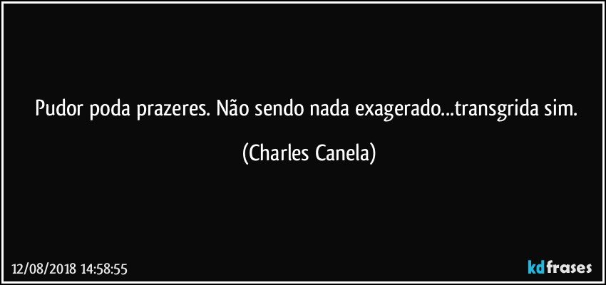 Pudor poda prazeres. Não sendo nada exagerado...transgrida sim. (Charles Canela)