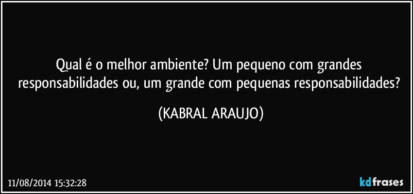 Qual é o melhor ambiente? Um pequeno com grandes responsabilidades ou, um grande com pequenas responsabilidades? (KABRAL ARAUJO)