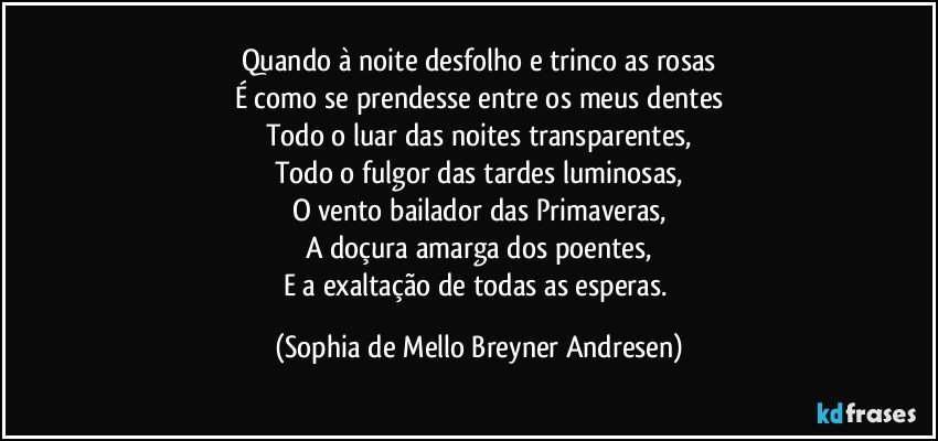Quando à noite desfolho e trinco as rosas
É como se prendesse entre os meus dentes
Todo o luar das noites transparentes,
Todo o fulgor das tardes luminosas,
O vento bailador das Primaveras,
A doçura amarga dos poentes,
E a exaltação de todas as esperas. (Sophia de Mello Breyner Andresen)