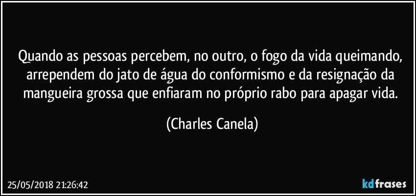 Quando as pessoas percebem, no outro, o fogo da vida queimando, arrependem do jato de água do conformismo e da resignação da mangueira grossa que enfiaram no próprio rabo para apagar vida. (Charles Canela)