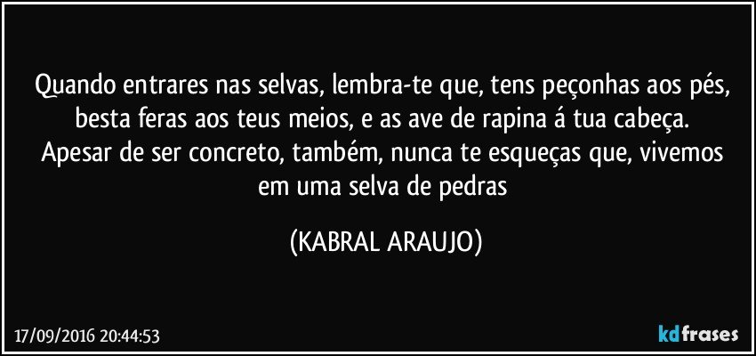 Quando entrares nas selvas, lembra-te que, tens peçonhas aos pés, besta feras aos teus meios, e as ave de rapina á tua cabeça. 
Apesar de ser concreto, também, nunca te esqueças que, vivemos em uma selva de pedras (KABRAL ARAUJO)