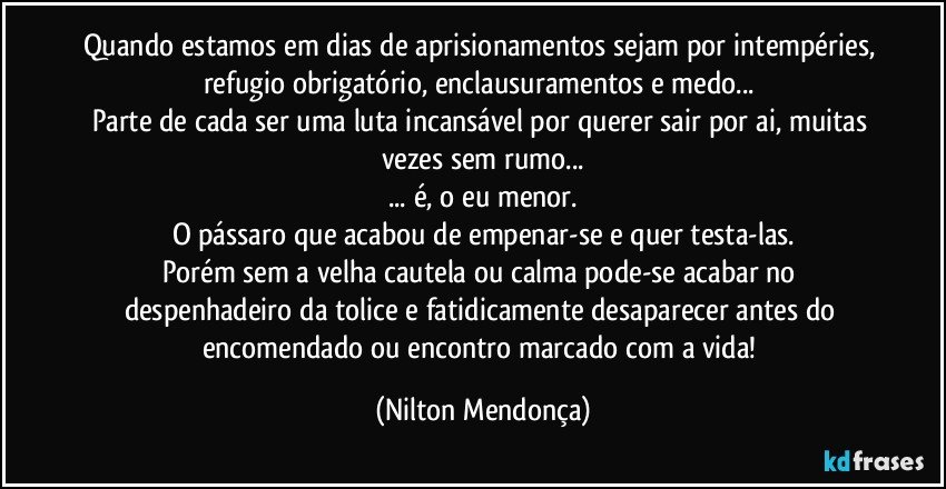 Quando estamos em dias de aprisionamentos sejam por intempéries, refugio obrigatório, enclausuramentos e medo... 
Parte de cada ser uma luta incansável por querer sair por ai, muitas vezes sem rumo...
... é, o eu menor.
O pássaro que acabou de empenar-se e quer testa-las.
Porém sem a velha cautela ou calma pode-se acabar no despenhadeiro da tolice e fatidicamente desaparecer antes do encomendado ou encontro marcado com a vida! (Nilton Mendonça)