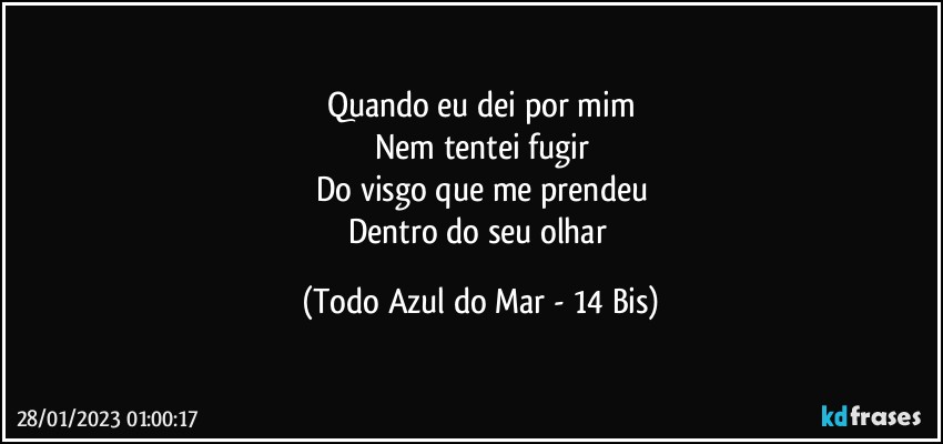 Quando eu dei por mim
Nem tentei fugir
Do visgo que me prendeu
Dentro do seu olhar (Todo Azul do Mar - 14 Bis)