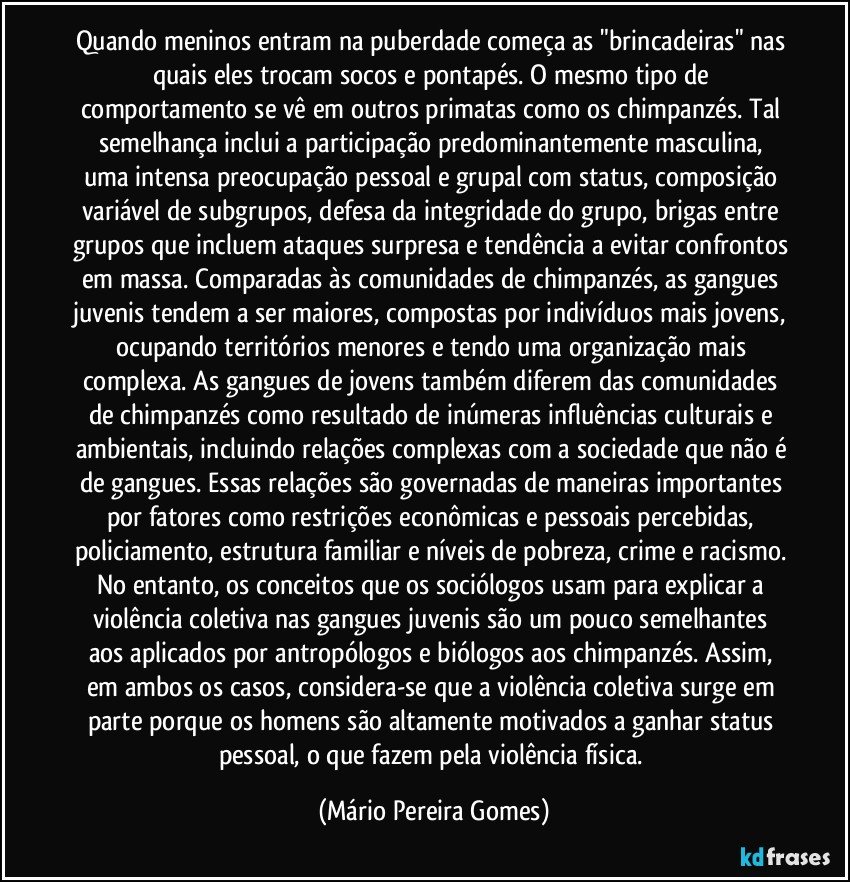 Quando meninos entram na puberdade começa as "brincadeiras" nas quais eles trocam socos e pontapés. O mesmo tipo de comportamento se vê em outros primatas como os chimpanzés. Tal semelhança inclui a participação predominantemente masculina, uma intensa preocupação pessoal e grupal com status, composição variável de subgrupos, defesa da integridade do grupo, brigas entre grupos que incluem ataques surpresa e tendência a evitar confrontos em massa. Comparadas às comunidades de chimpanzés, as gangues juvenis tendem a ser maiores, compostas por indivíduos mais jovens, ocupando territórios menores e tendo uma organização mais complexa. As gangues de jovens também diferem das comunidades de chimpanzés como resultado de inúmeras influências culturais e ambientais, incluindo relações complexas com a sociedade que não é de gangues. Essas relações são governadas de maneiras importantes por fatores como restrições econômicas e pessoais percebidas, policiamento, estrutura familiar e níveis de pobreza, crime e racismo. No entanto, os conceitos que os sociólogos usam para explicar a violência coletiva nas gangues juvenis são um pouco semelhantes aos aplicados por antropólogos e biólogos aos chimpanzés. Assim, em ambos os casos, considera-se que a violência coletiva surge em parte porque os homens são altamente motivados a ganhar status pessoal, o que fazem pela violência física. (Mário Pereira Gomes)