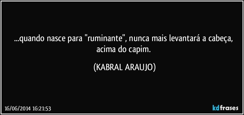 ...quando nasce para "ruminante", nunca mais levantará a cabeça, acima do capim. (KABRAL ARAUJO)