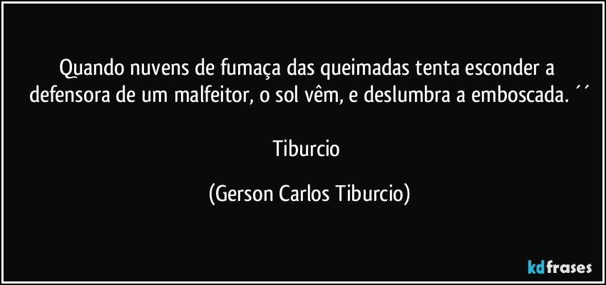 Quando nuvens de fumaça das queimadas tenta esconder a defensora de um malfeitor, o sol vêm, e deslumbra a emboscada. ´´

Tiburcio (Gerson Carlos Tiburcio)