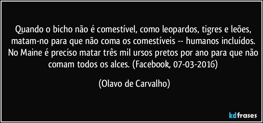 Quando o bicho não é comestível, como leopardos, tigres e leões, matam-no para que não coma os comestíveis -- humanos incluídos. No Maine é preciso matar três mil ursos pretos por ano para que não comam todos os alces. (Facebook, 07-03-2016) (Olavo de Carvalho)