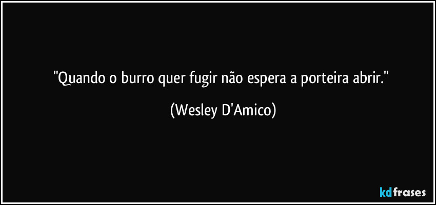 "Quando o burro quer fugir não espera a porteira abrir." (Wesley D'Amico)
