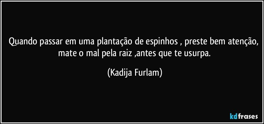 Quando passar em uma plantação  de espinhos , preste bem atenção,  mate  o mal pela raiz ,antes que te usurpa. (Kadija Furlam)