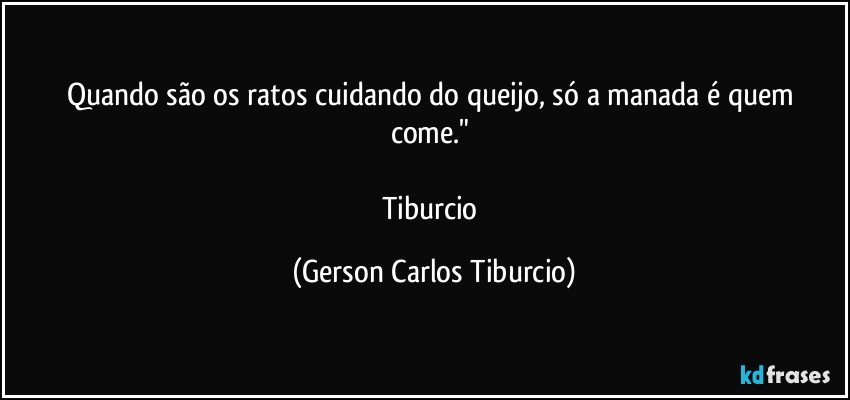 Quando são os ratos cuidando do queijo, só a manada é quem come." 

Tiburcio (Gerson Carlos Tiburcio)