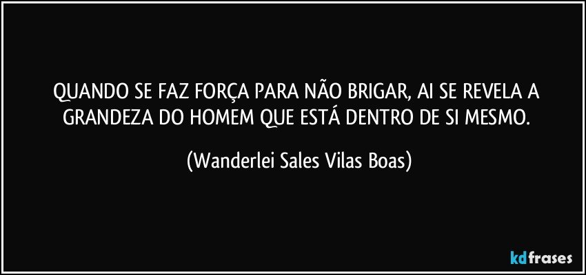 QUANDO SE FAZ FORÇA PARA NÃO BRIGAR, AI SE REVELA A GRANDEZA DO HOMEM QUE ESTÁ DENTRO DE SI MESMO. (Wanderlei Sales Vilas Boas)