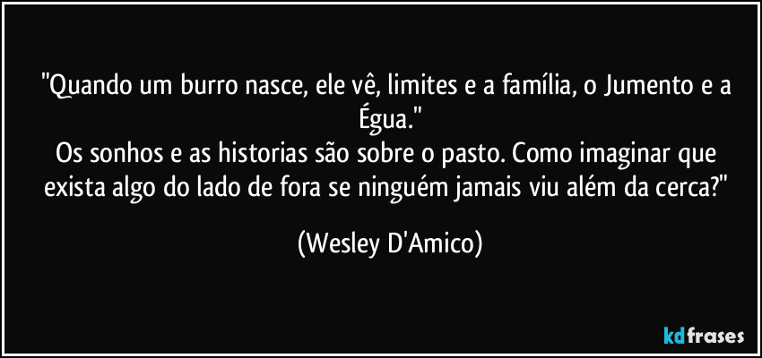"Quando um burro nasce, ele vê, limites e a família, o Jumento e a Égua."
Os sonhos e as historias são sobre o pasto. Como imaginar que exista algo do lado de fora se ninguém jamais viu além da cerca?" (Wesley D'Amico)