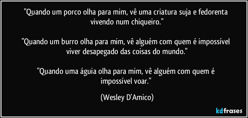 "Quando um porco olha para mim, vê uma criatura suja e fedorenta vivendo num chiqueiro."

"Quando um burro olha para mim, vê alguém com quem é impossível viver desapegado das coisas do mundo."

"Quando uma águia olha para mim, vê alguém com quem é impossível voar." (Wesley D'Amico)