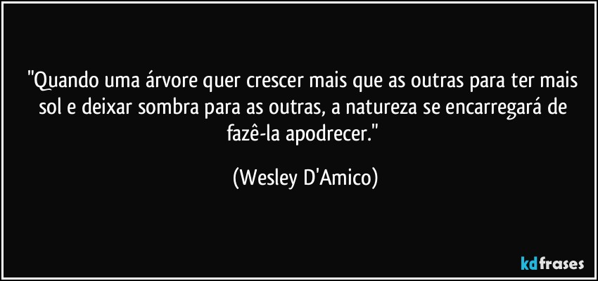 "Quando uma árvore quer crescer mais que as outras para ter mais sol e deixar sombra para as outras, a natureza se encarregará de fazê-la apodrecer." (Wesley D'Amico)