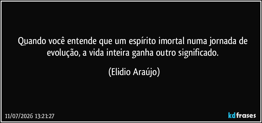 Quando você entende que um espírito imortal numa jornada de evolução, a vida inteira ganha outro significado. (Elidio Araújo)