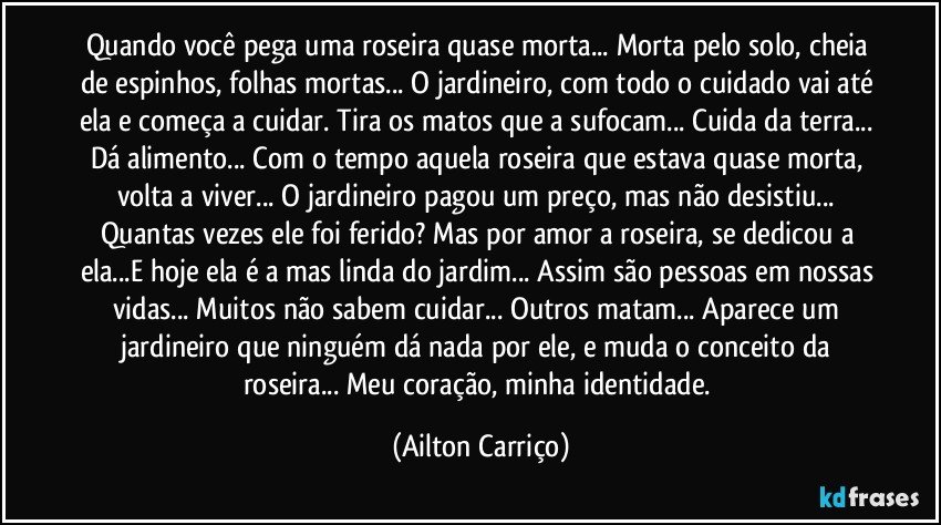 Quando você pega uma roseira quase morta... Morta pelo solo, cheia de espinhos, folhas mortas... O jardineiro, com todo o cuidado vai até ela e começa a cuidar. Tira os matos que a sufocam... Cuida da terra... Dá alimento... Com o tempo aquela roseira que estava quase morta, volta a viver... O jardineiro pagou um preço, mas não desistiu... Quantas vezes ele foi ferido? Mas por amor a roseira, se dedicou a ela...E hoje ela é a mas linda do jardim... Assim são pessoas em nossas vidas... Muitos não sabem cuidar... Outros matam... Aparece um jardineiro que ninguém dá nada por ele, e muda o conceito da roseira... Meu coração, minha identidade. (Ailton Carriço)