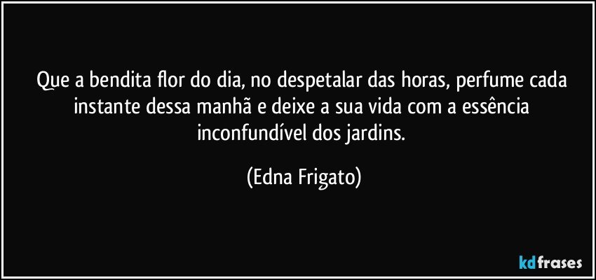 Que a bendita flor do dia, no despetalar das horas, perfume cada instante dessa manhã e deixe a sua vida com a essência inconfundível dos jardins. (Edna Frigato)