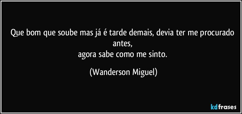 Que bom que soube mas já é tarde demais, devia ter me procurado antes, 
agora sabe como me sinto. (Wanderson Miguel)