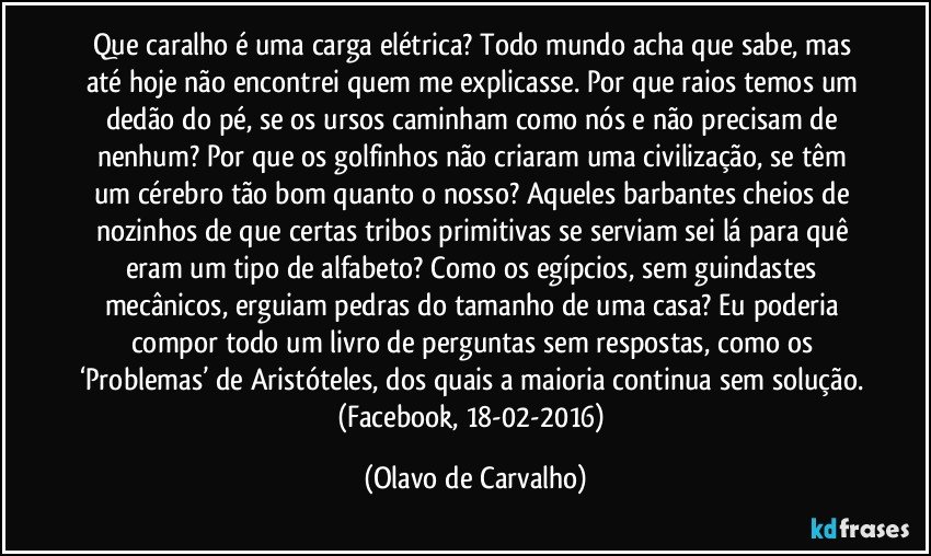 Que caralho é uma carga elétrica? Todo mundo acha que sabe, mas até hoje não encontrei quem me explicasse. Por que raios temos um dedão do pé, se os ursos caminham como nós e não precisam de nenhum? Por que os golfinhos não criaram uma civilização, se têm um cérebro tão bom quanto o nosso? Aqueles barbantes cheios de nozinhos de que certas tribos primitivas se serviam sei lá para quê eram um tipo de alfabeto? Como os egípcios, sem guindastes mecânicos, erguiam pedras do tamanho de uma casa? Eu poderia compor todo um livro de perguntas sem respostas, como os ‘Problemas’ de Aristóteles, dos quais a maioria continua sem solução. (Facebook, 18-02-2016) (Olavo de Carvalho)