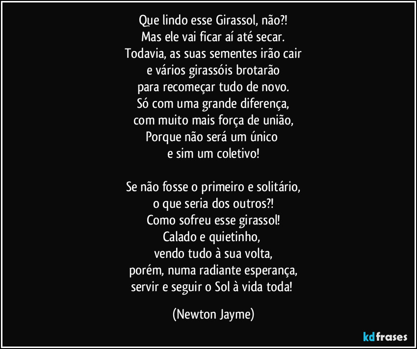 Que lindo esse Girassol, não?!
Mas ele vai ficar aí até secar.
Todavia, as suas sementes irão cair
e vários girassóis brotarão
para recomeçar tudo de novo.
Só com uma grande diferença,
com muito mais força de união,
Porque não será um único 
e sim um coletivo!

Se não fosse o primeiro e solitário,
o que seria dos outros?!
Como sofreu esse girassol!
Calado e quietinho, 
vendo tudo à sua volta,
porém, numa radiante esperança,
servir e seguir o Sol à vida toda! (Newton Jayme)