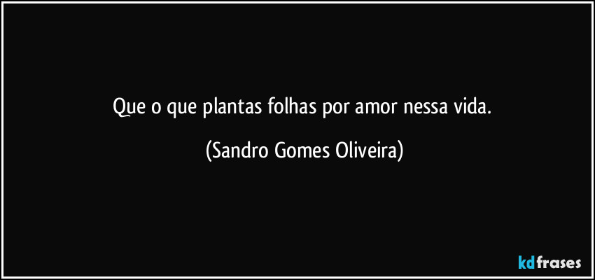 Que o que plantas folhas por amor nessa vida. (Sandro Gomes Oliveira)