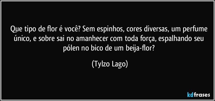 Que tipo de flor é você? Sem espinhos, cores diversas, um perfume único, e sobre sai no amanhecer com toda força, espalhando seu pólen no bico de um beija-flor? (Tylzo Lago)