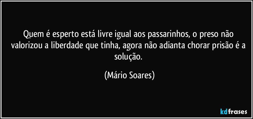Quem é esperto está livre igual aos passarinhos, o preso não valorizou a liberdade que tinha, agora não adianta chorar prisão é a solução. (Mário Soares)