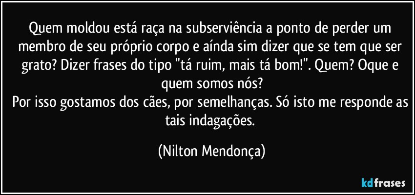 Quem moldou está raça na subserviência a ponto de perder um membro de seu próprio corpo e aínda sim dizer que se tem que ser grato? Dizer frases do tipo "tá ruim, mais tá bom!". Quem? Oque e quem somos nós?
Por isso gostamos dos cães, por semelhanças. Só isto me responde as tais indagações. (Nilton Mendonça)