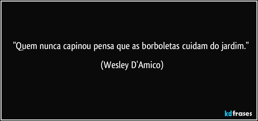 "Quem nunca capinou pensa que as borboletas cuidam do jardim." (Wesley D'Amico)
