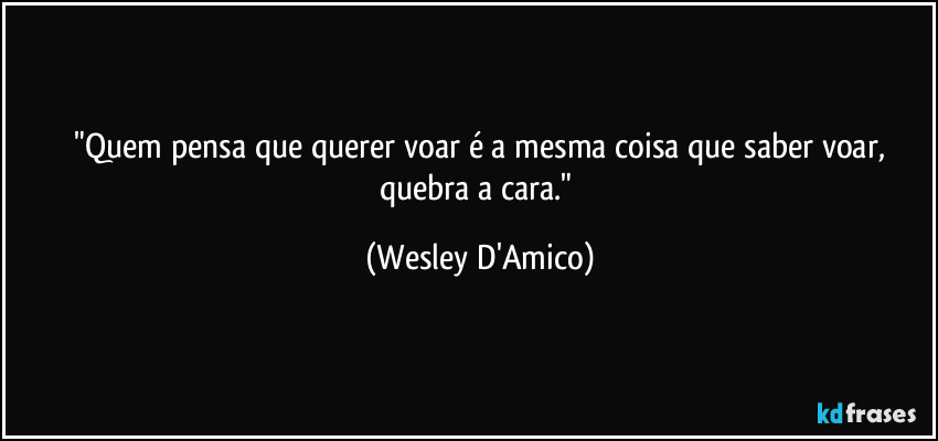 ⁠"Quem pensa que querer voar é a mesma coisa que saber voar, quebra a cara." (Wesley D'Amico)