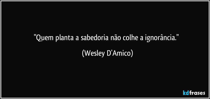 "Quem planta a sabedoria não colhe a ignorância." (Wesley D'Amico)