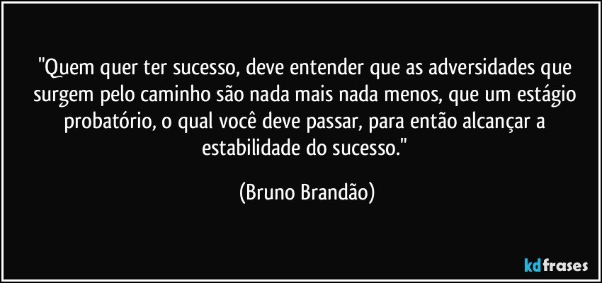 "Quem quer ter sucesso, deve entender que as adversidades que surgem pelo caminho são nada mais nada menos, que um estágio probatório, o qual você deve passar, para então alcançar a estabilidade do sucesso." (Bruno Brandão)