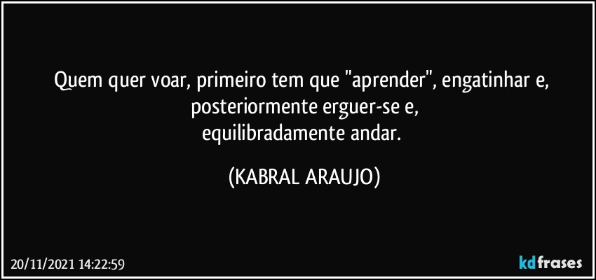 Quem quer voar, primeiro tem que "aprender", engatinhar e, posteriormente erguer-se e,
equilibradamente andar. (KABRAL ARAUJO)